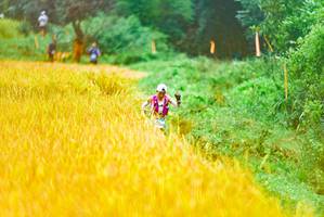 BIB: 
                            <button type="button" onclick="openModal(13455451)" class="btn btn-primary btn-sm float-right btn-popup" data-toggle="modal" data-target=".modal-high-quality">
                        <i class="fas fa-shopping-cart"></i> Add to Cart
                    </button>
                                            <button type="button" onclick="isThisMe(13455451, true)" class="btn btn-success btn-sm float-right btn-popup btn-isme hidden" data-toggle="tooltip" data-placement="bottom" title="นี่คือรูปของคุณใช่ไหม คลิกที่นี่เพื่อเอาเข้าอัลบั้ม">
                        <i class="fas fa-plus"></i> Add to album
                    </button>
                    <button type="button" onclick="isThisMe(13455451, false)" class="btn btn-warning btn-sm float-right btn-popup btn-isnotme hidden">
                        <i class="fas fa-ban"></i> Remove from album
                    </button>